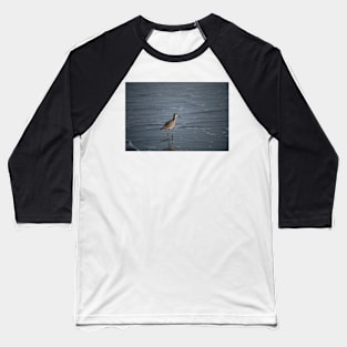 Sea bird in beach Baseball T-Shirt